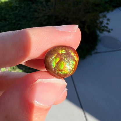 An iridescent green, yellow, and red Mexican fire agate stone.  The stone is an off-round cabochon.