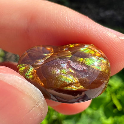 An oval cabochon cut Mexican fire agate stone.  The stone's predominant colors are green, yellow, orange, and blue.