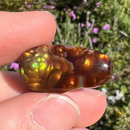 A loose fire agate cabochon.  The stone has iridescent green, yellow, and blue colors.