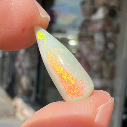 An opalized belemnite fossil from Coober Pedy, Australia.  The specimen has red, yellow, and green play of color.