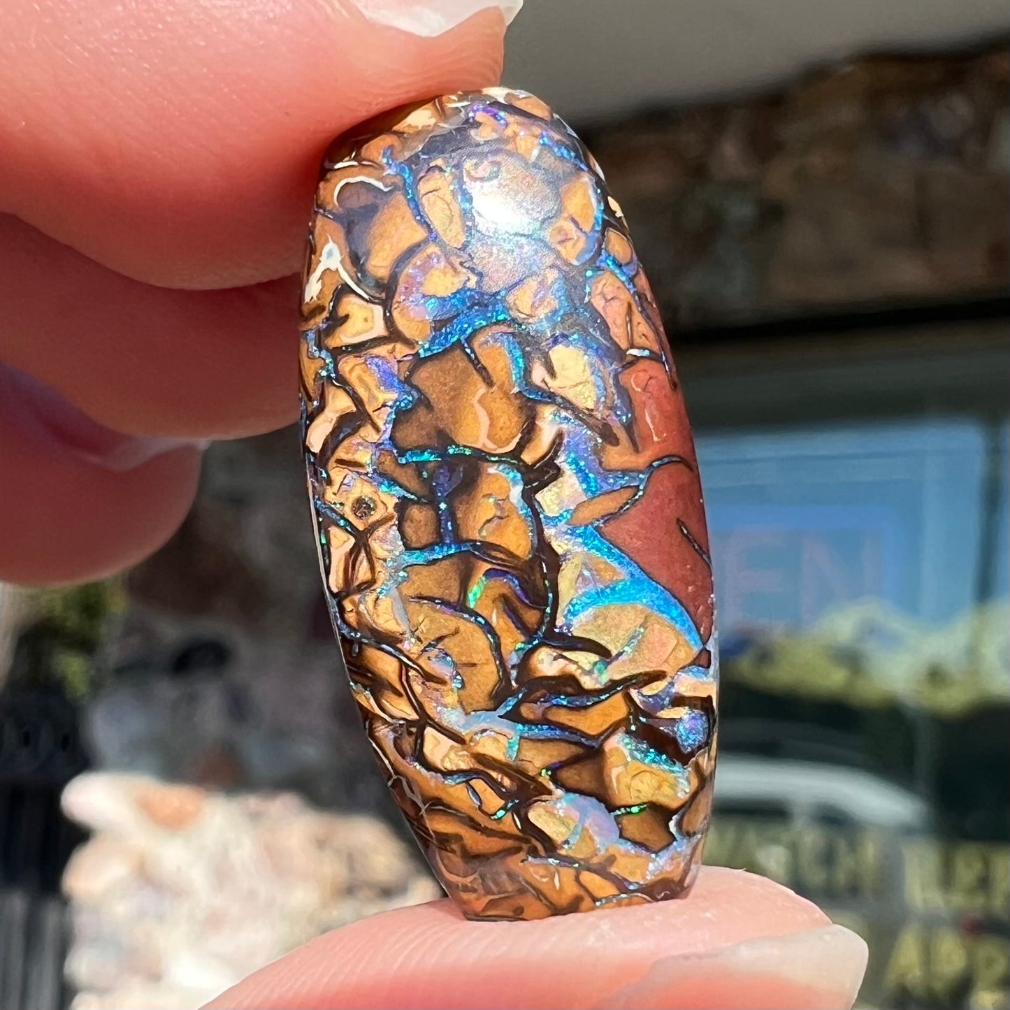 A loose, barrel shaped Koroit boulder opal stone with blue veins.