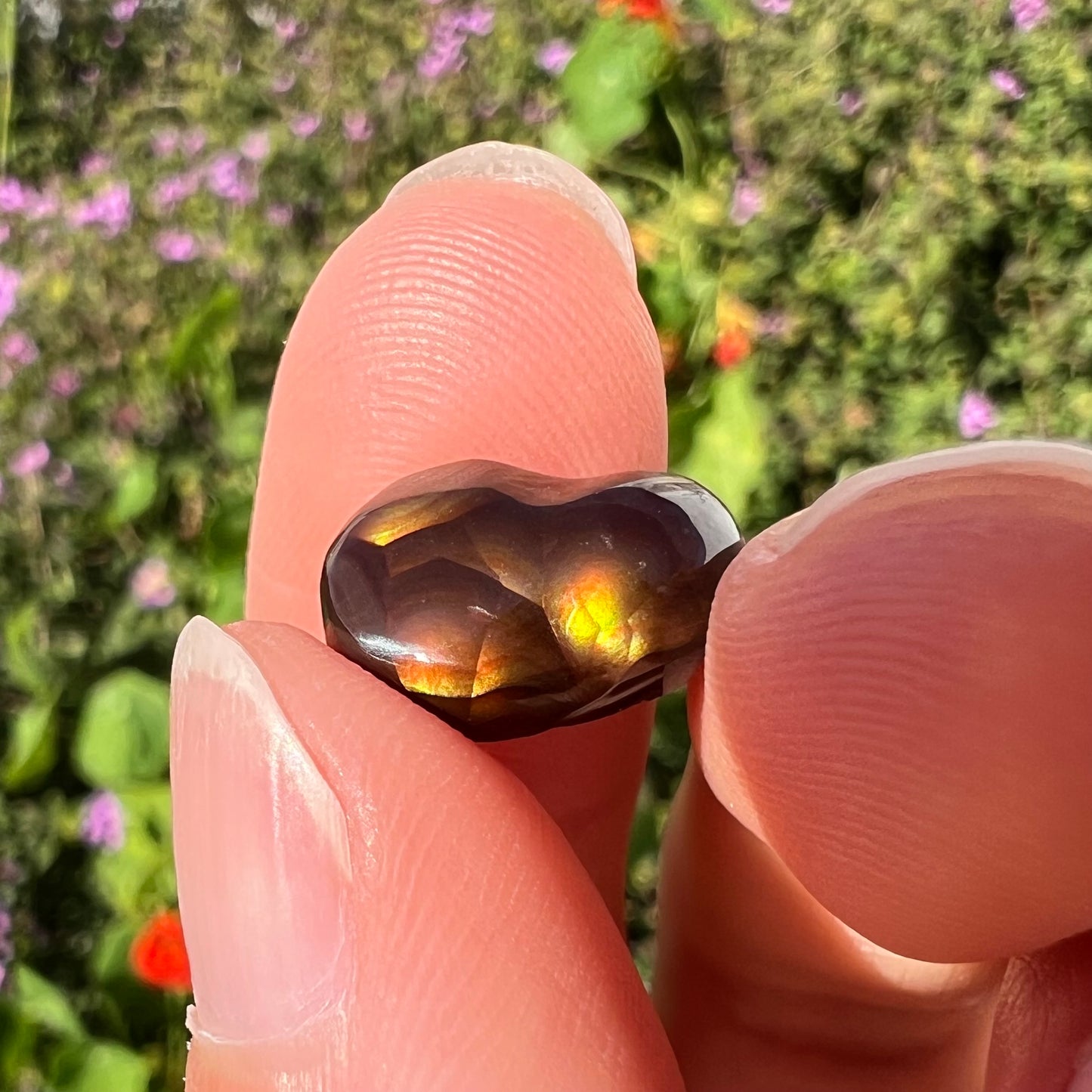 A loose, freefrom cabochon cut Mexican fire agate stone.  The stone has red, green, yellow, and purple banding.