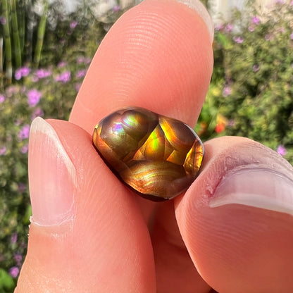 A loose, freefrom cabochon cut Mexican fire agate stone.  The stone has red, green, yellow, and purple banding.