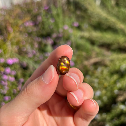 A loose Mexican fire agate cabochon.  The stone has a bright purple and blue iris pattern.