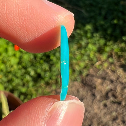 An electric blue Pilot Mountain turquosie stone from Nevada.  The turquoise is cut into an oval shaped cabochon.