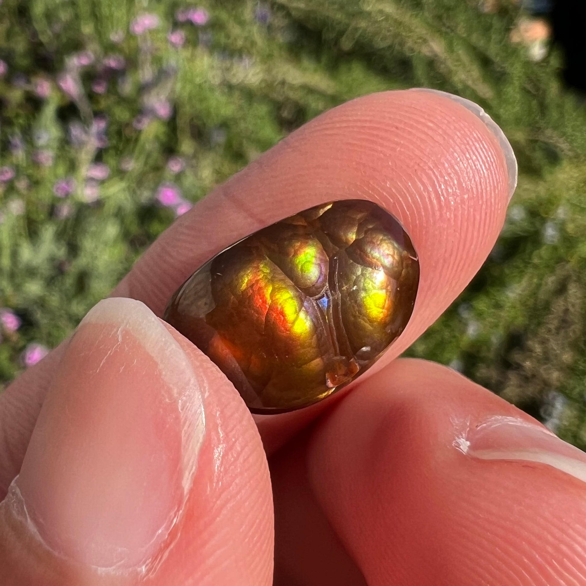 A loose Mexican fire agate cabochon.  The stone has a bright purple and blue iris pattern.