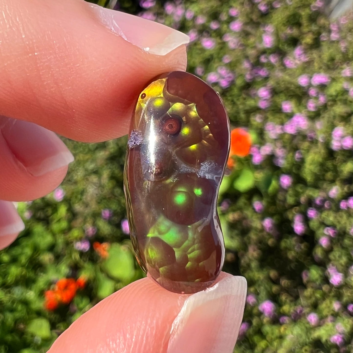 A loose, cabochon cut fire agate gemstone.  The stone resembles a foot with a green heel and yellow toes.