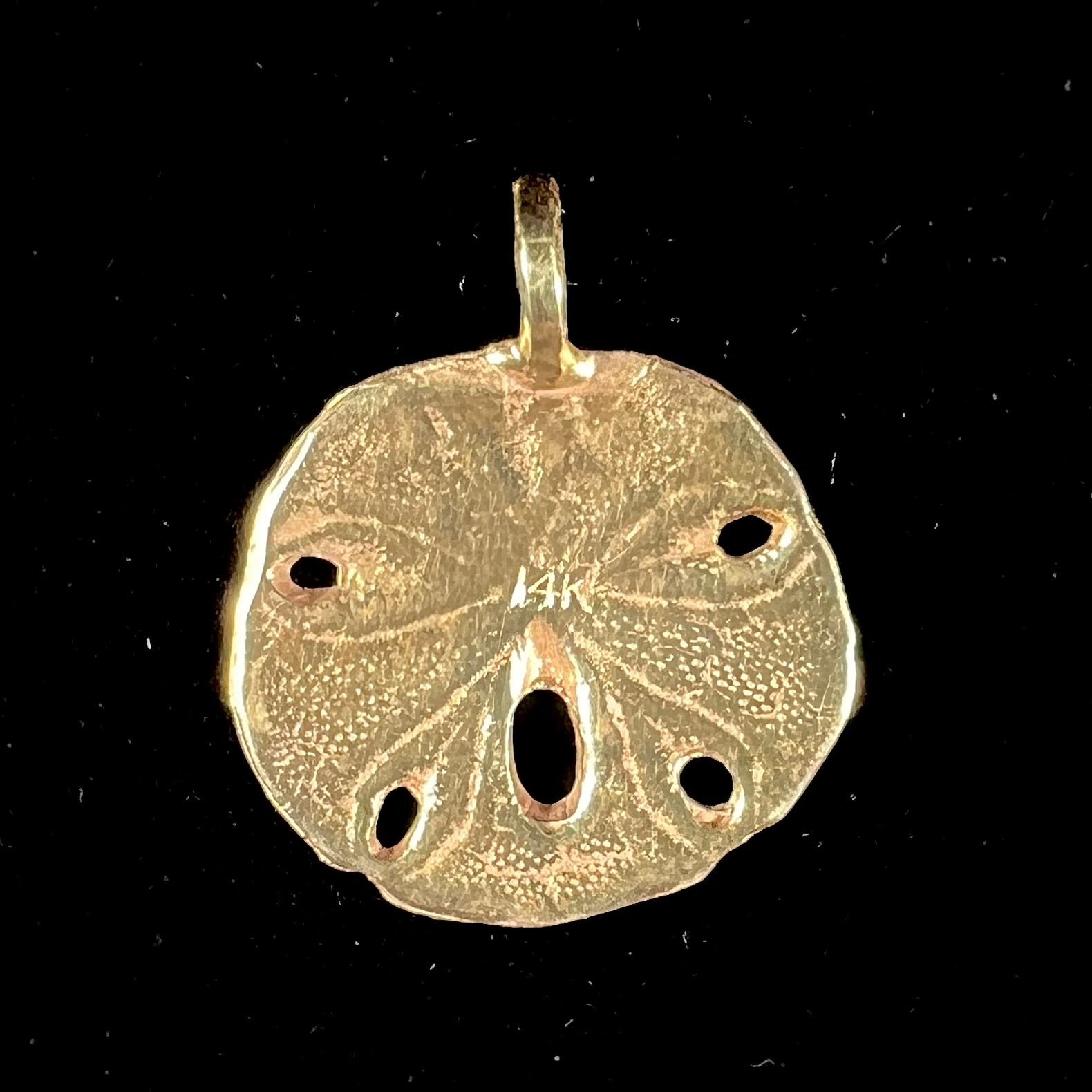 Pendant 14k solid gold Sand Dollar shops 3/4