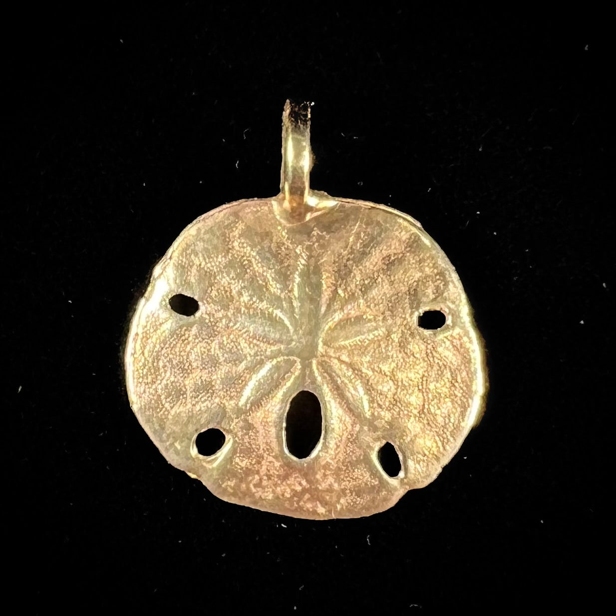 A 14 karat yellow gold sand dollar pendant.