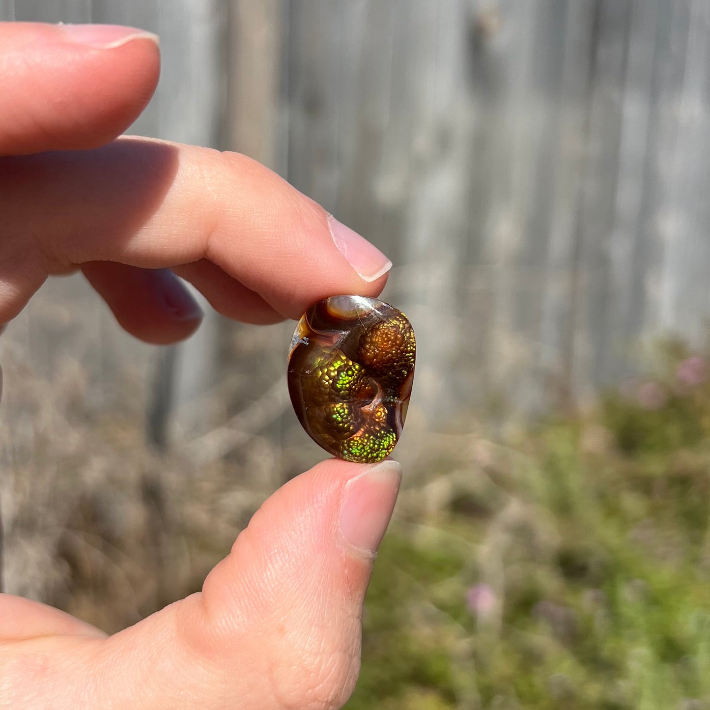 A large Mexican fire agate cabochon.  The stone has a bubbly green pattern.