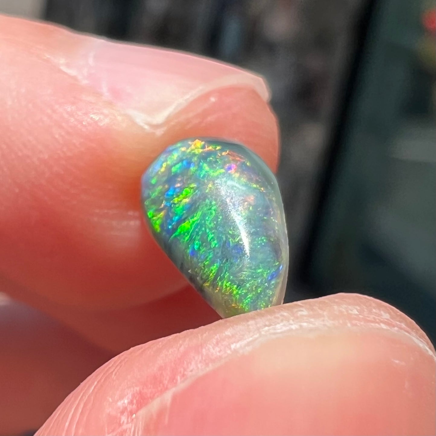 A black opal gemstone from Lightning Ridge, Australia.  The opal is a freeform cut.