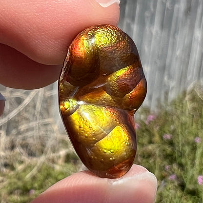 A loose, freeform shaped Mexican fire agate.  The stone has green and orange iridescence.