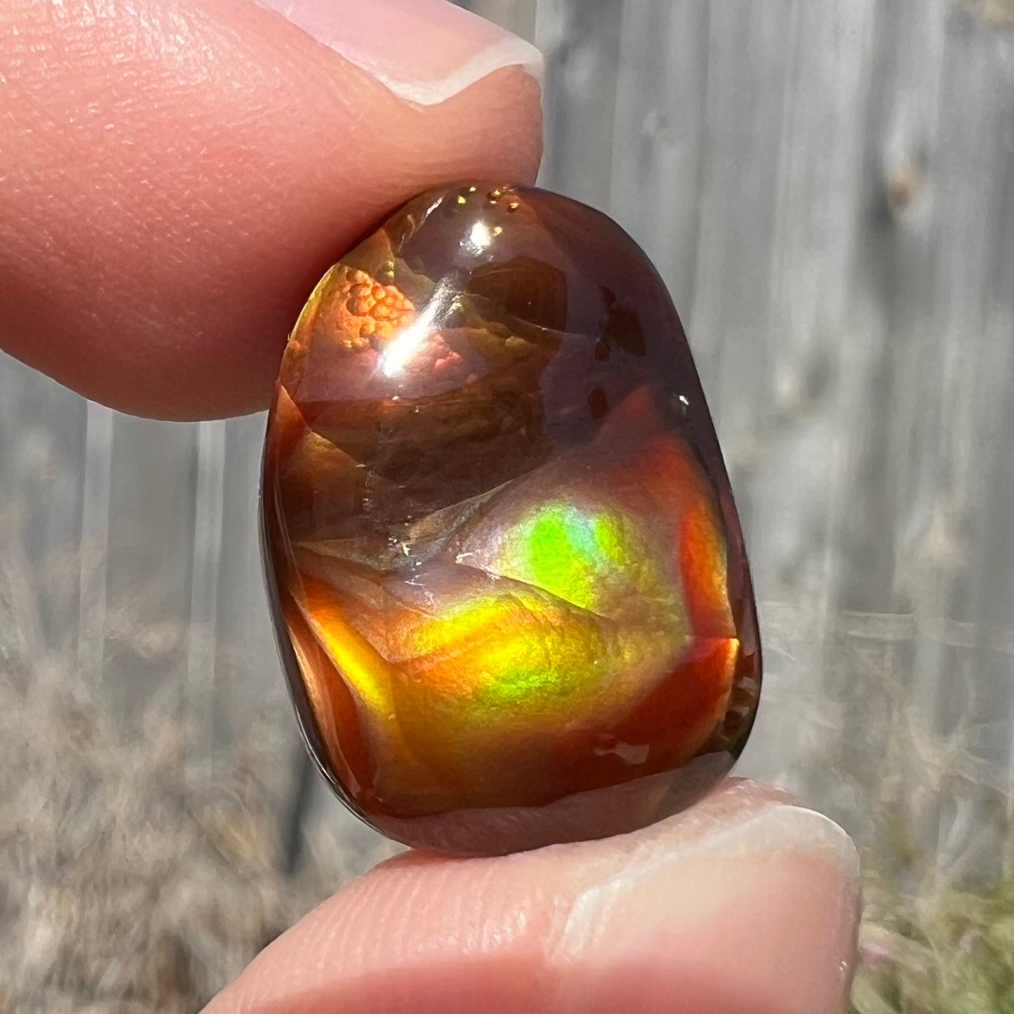 A loose fire agate cabochon.  The stne shows green and orange iridescence on a brown body tone.