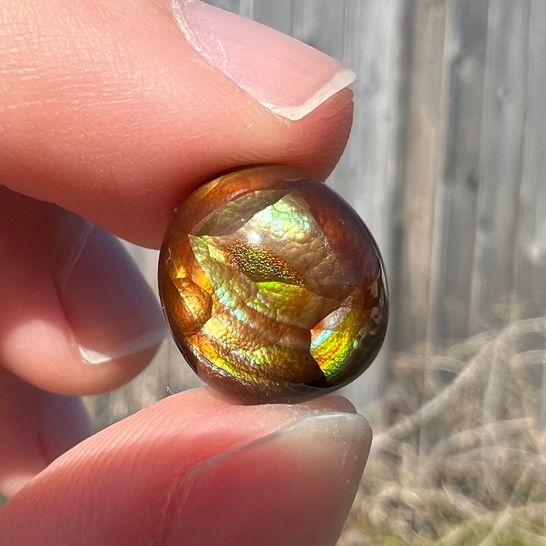 A loose, green, blue, and orange banded fire agate cabochon.