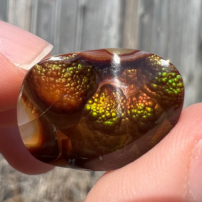 A large Mexican fire agate cabochon.  The stone has a bubbly green pattern.