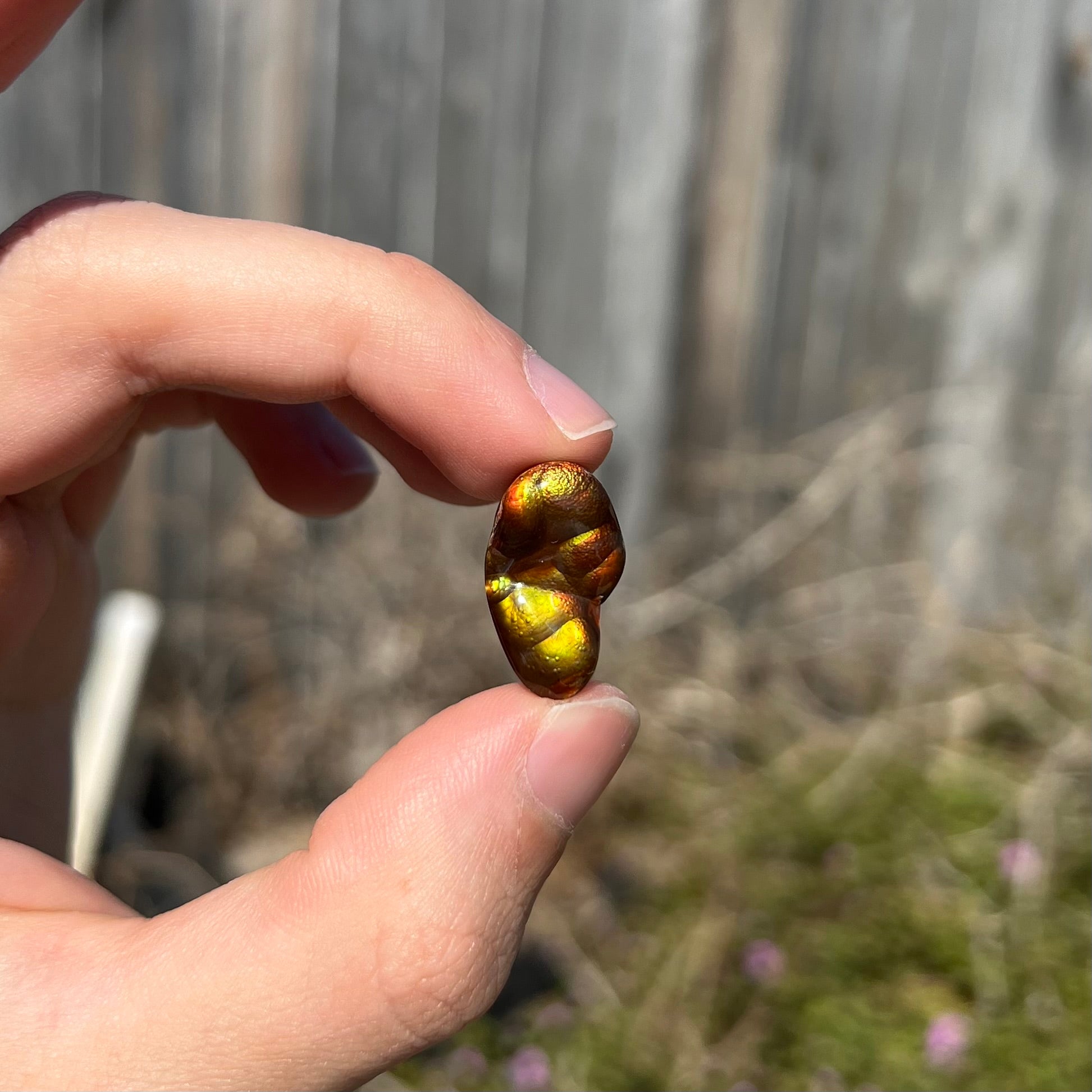 A loose, freeform shaped Mexican fire agate.  The stone has green and orange iridescence.