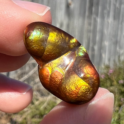 A loose, freeform shaped Mexican fire agate.  The stone has green and orange iridescence.