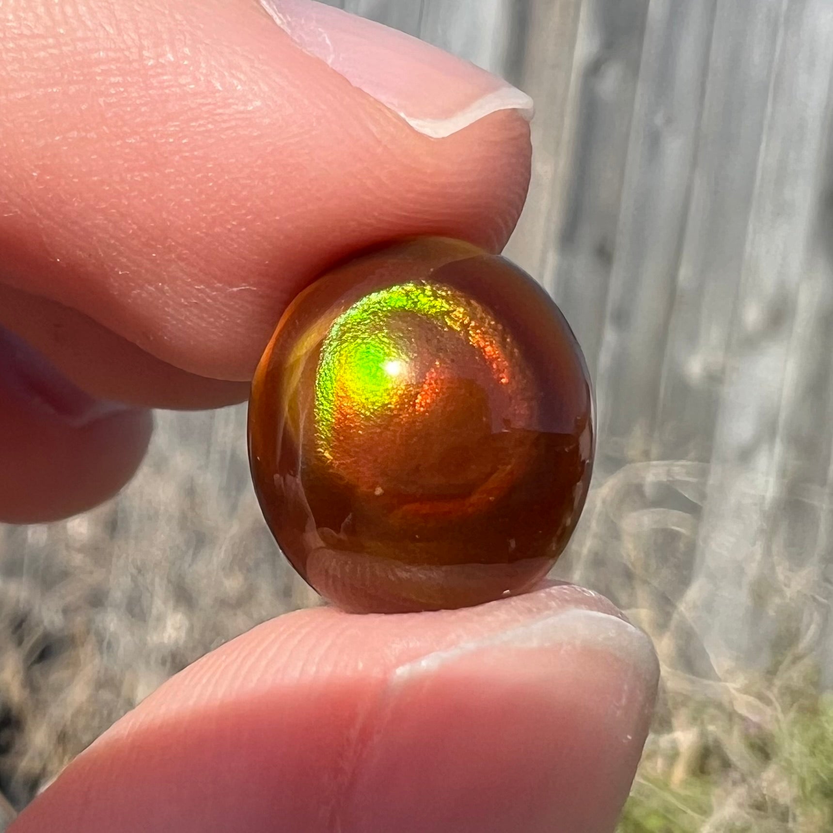 A loose, oval cabochon cut fire agate stone that has red and green colored iridescence.