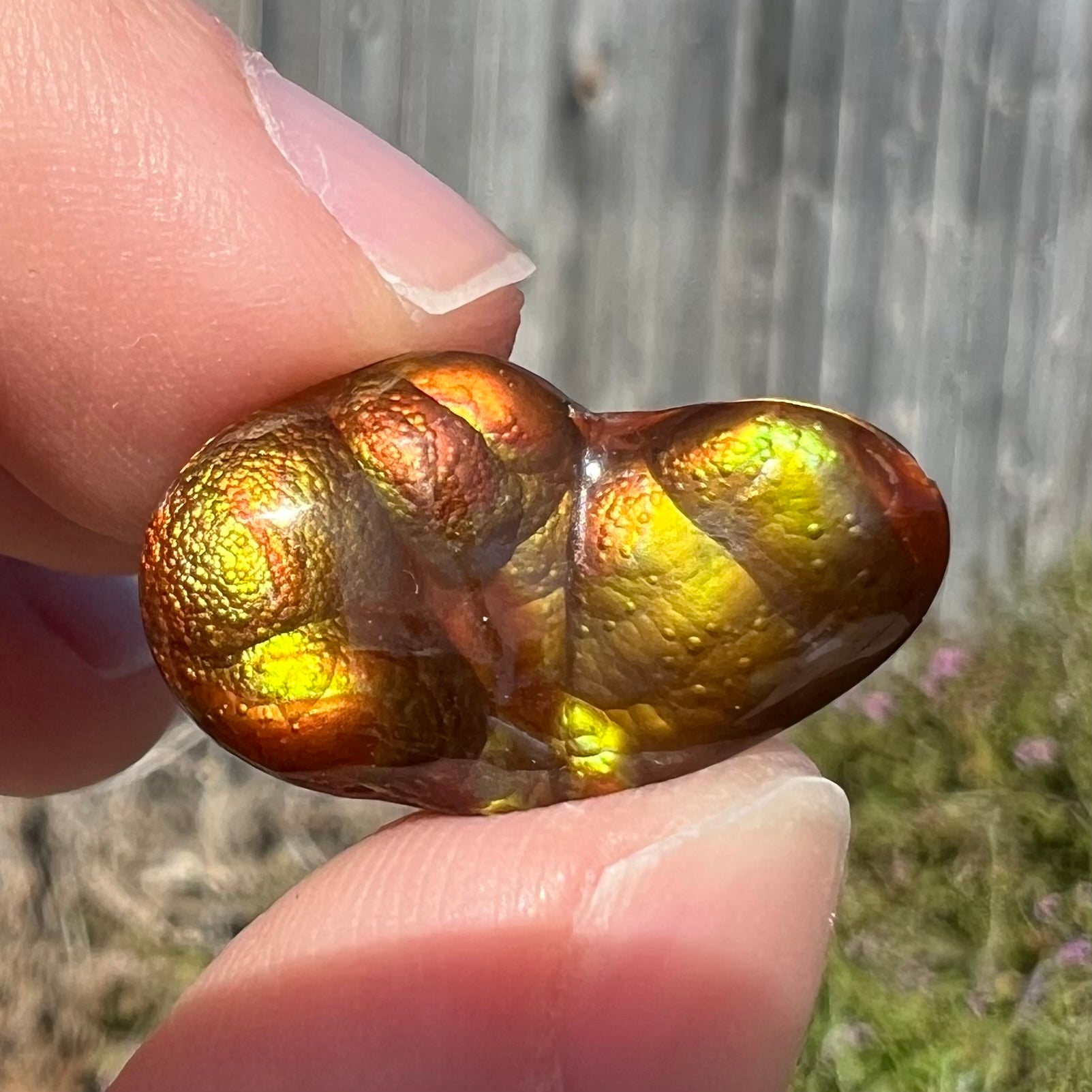 A loose, freeform shaped Mexican fire agate.  The stone has green and orange iridescence.