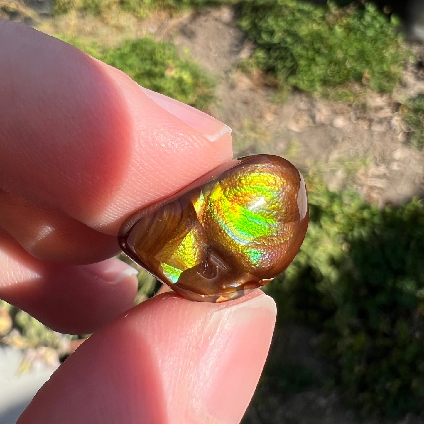 A brightly reflective Mexican fire agate cabochon.  The stone has a strong green iridescence.