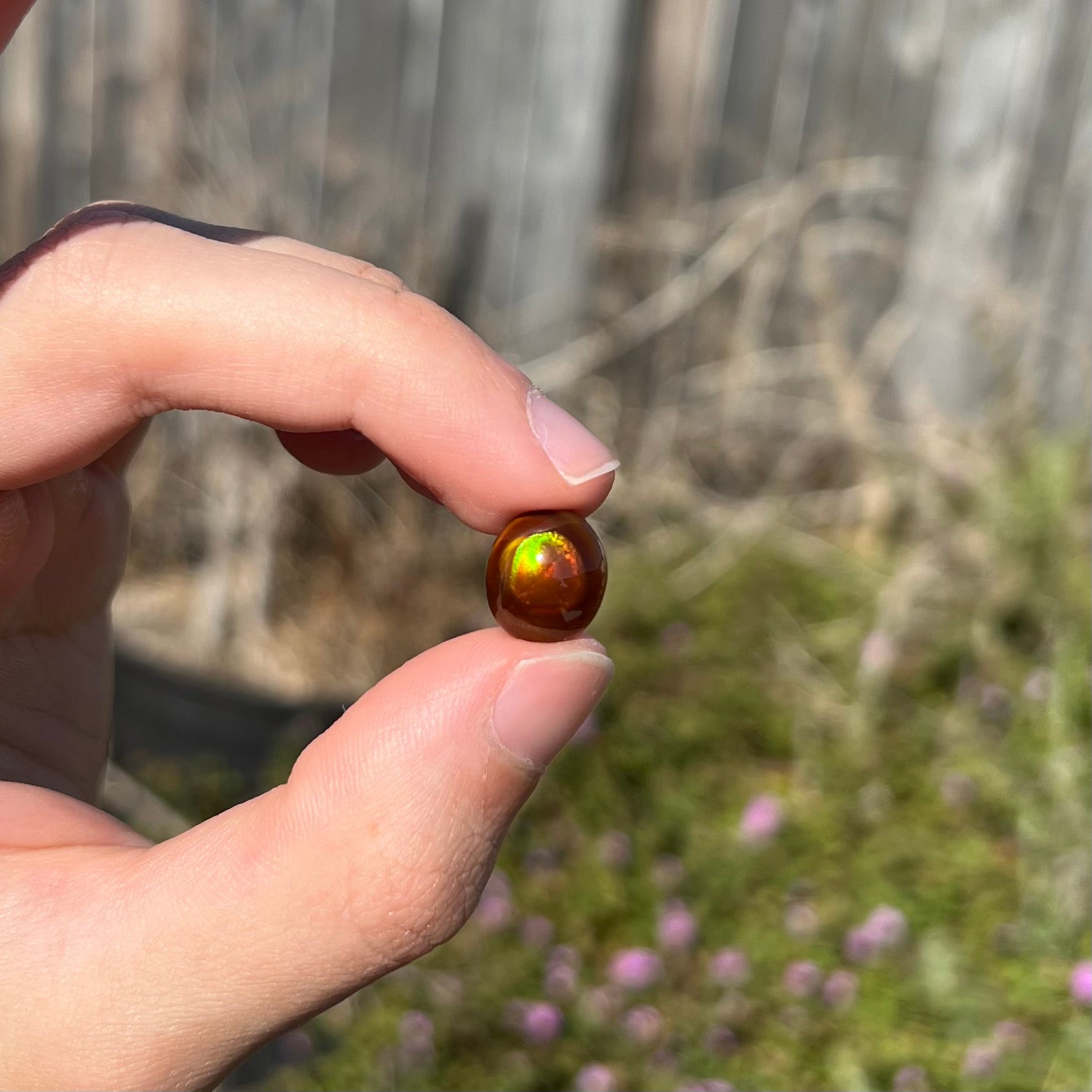 A loose, oval cabochon cut fire agate stone that has red and green colored iridescence.