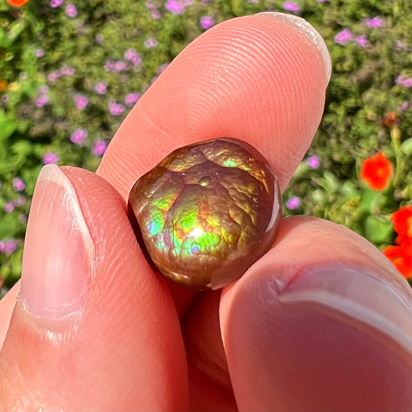 An iridescent green, yellow, and red Mexican fire agate stone.  The stone is an off-round cabochon.