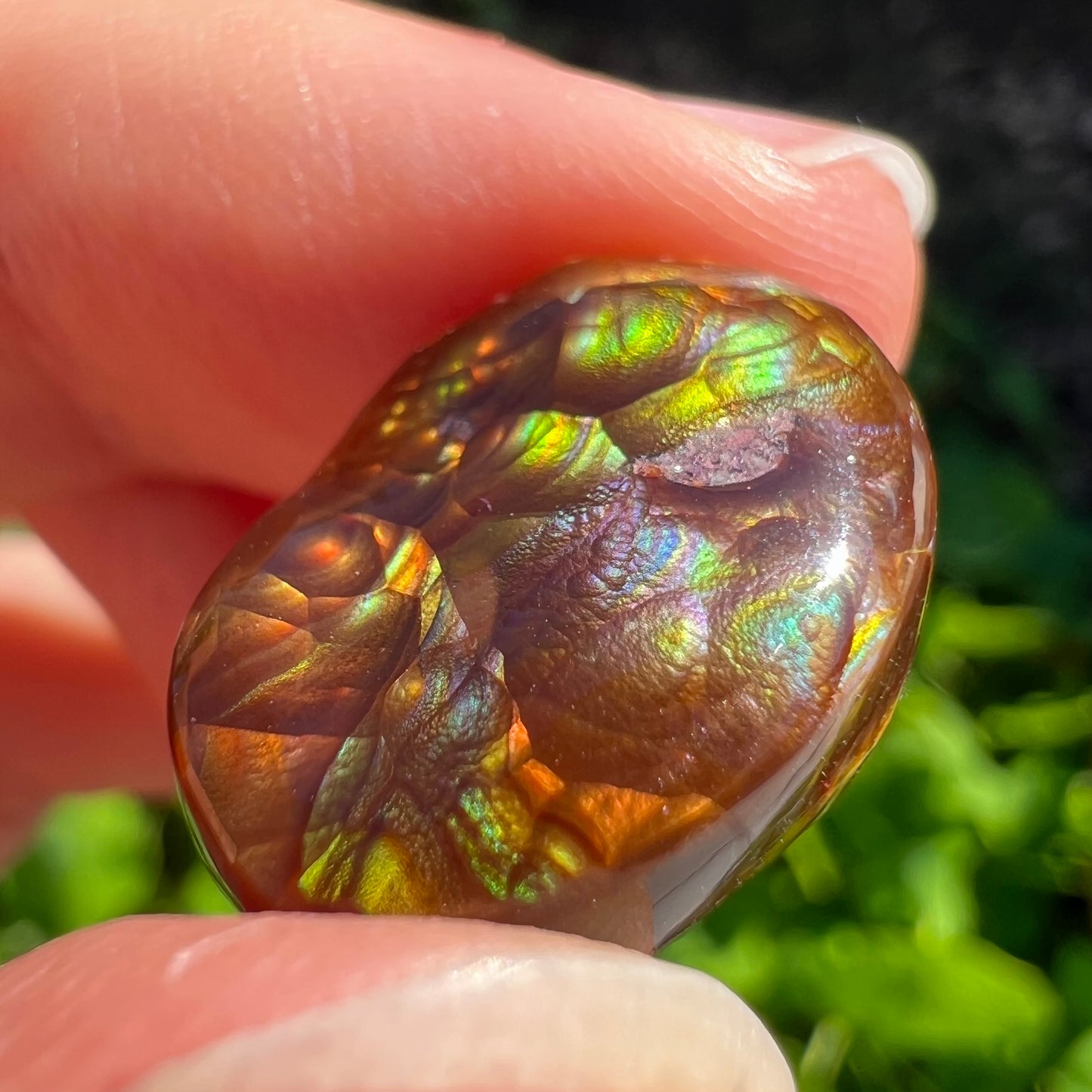 An oval cabochon cut Mexican fire agate stone.  The stone's predominant colors are green, yellow, orange, and blue.