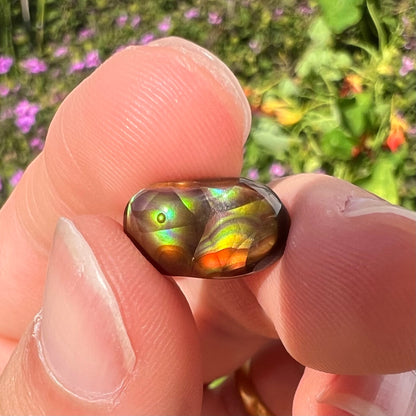 A loose, oval cabochon cut Mexican fire agate stone.  The stone has multi-colored banding with blue overtones.