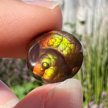 A loose, round Mexican fire agate stone.  The stone shines colors of green, yellow, and orange.