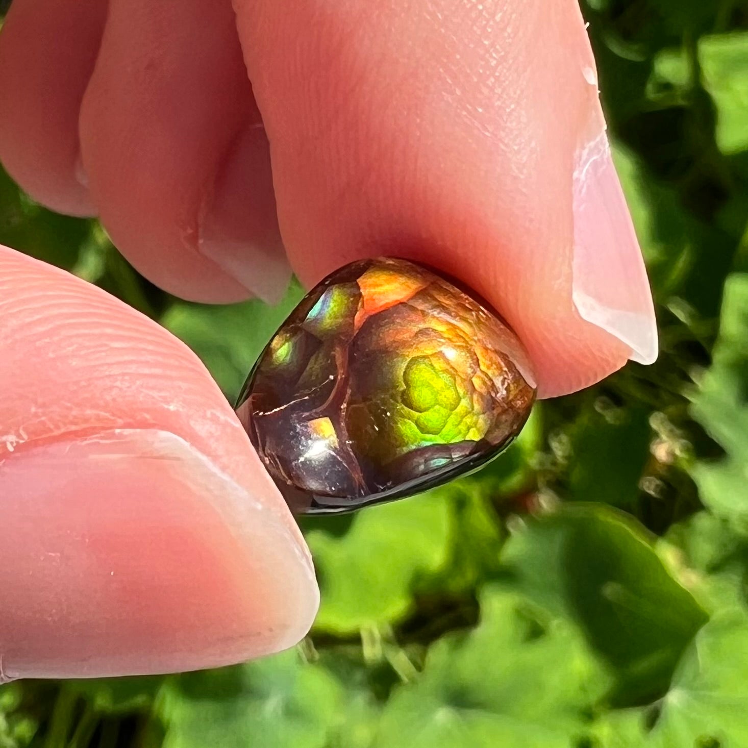 Pink sale fire agate