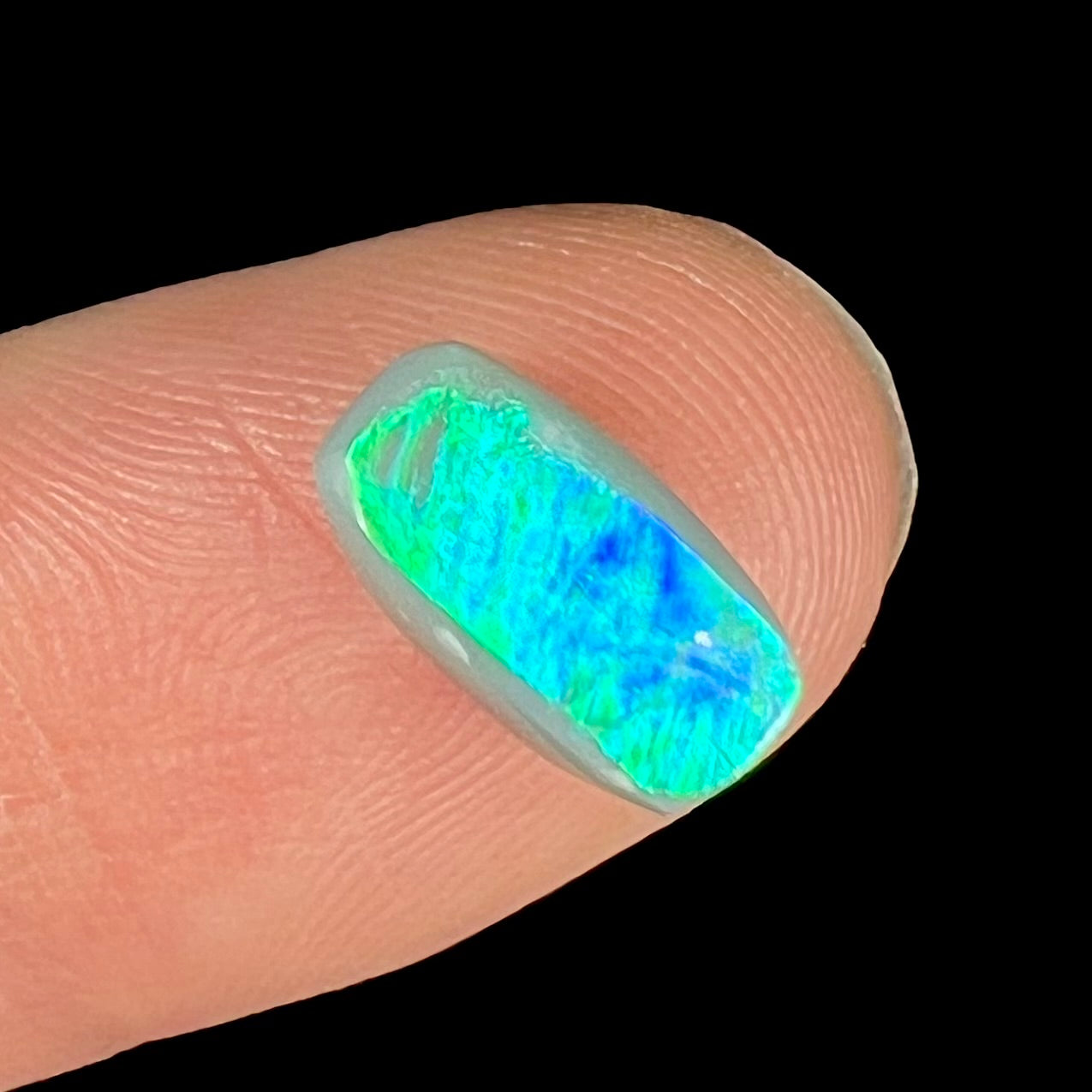 A loose semi-black opal from Lightning Ridge, Australia.  The opal flashes bright green and blue colors.