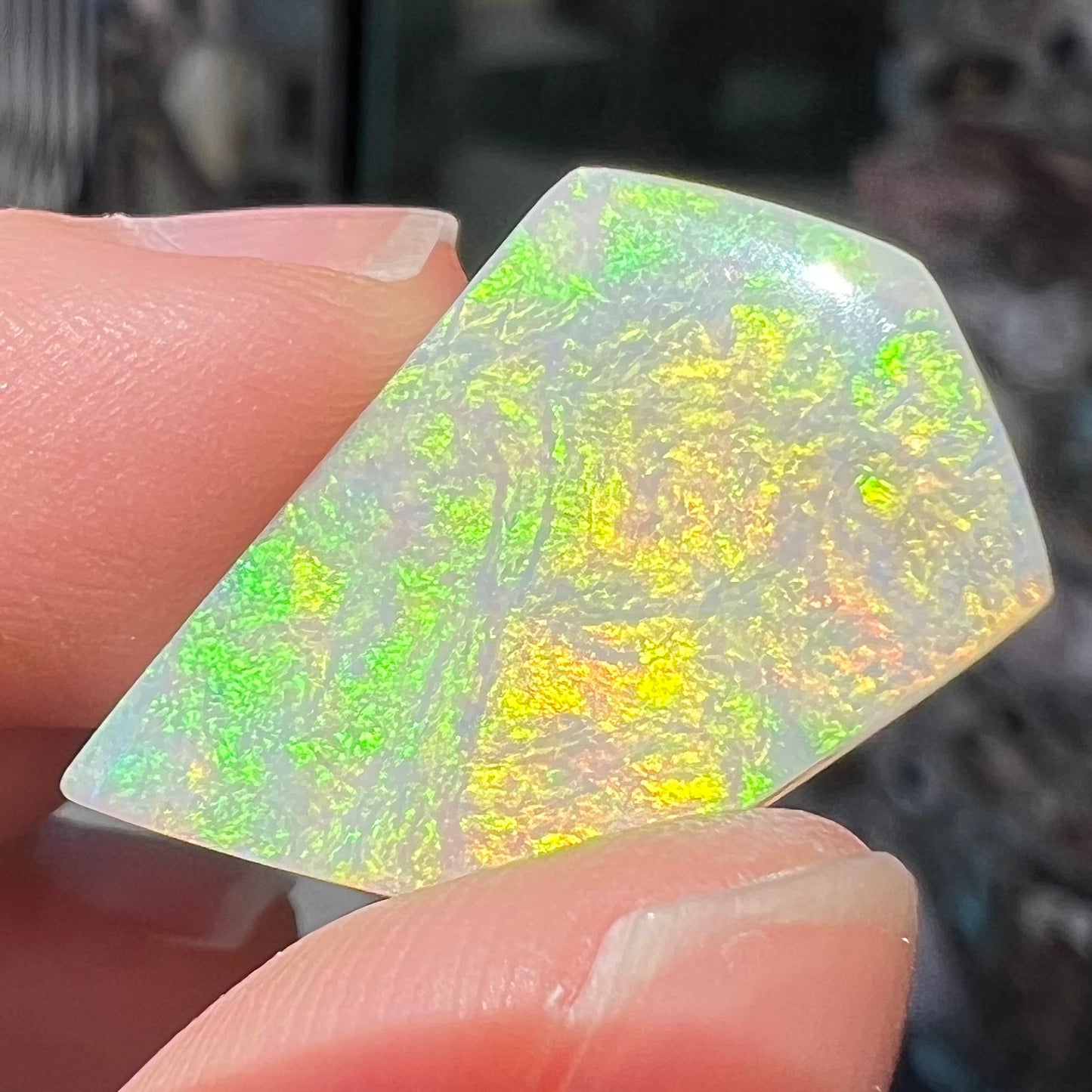 5.88ct Andamooka Light Opal | #E78