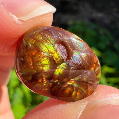 An oval cabochon cut Mexican fire agate stone.  The stone's predominant colors are green, yellow, orange, and blue.