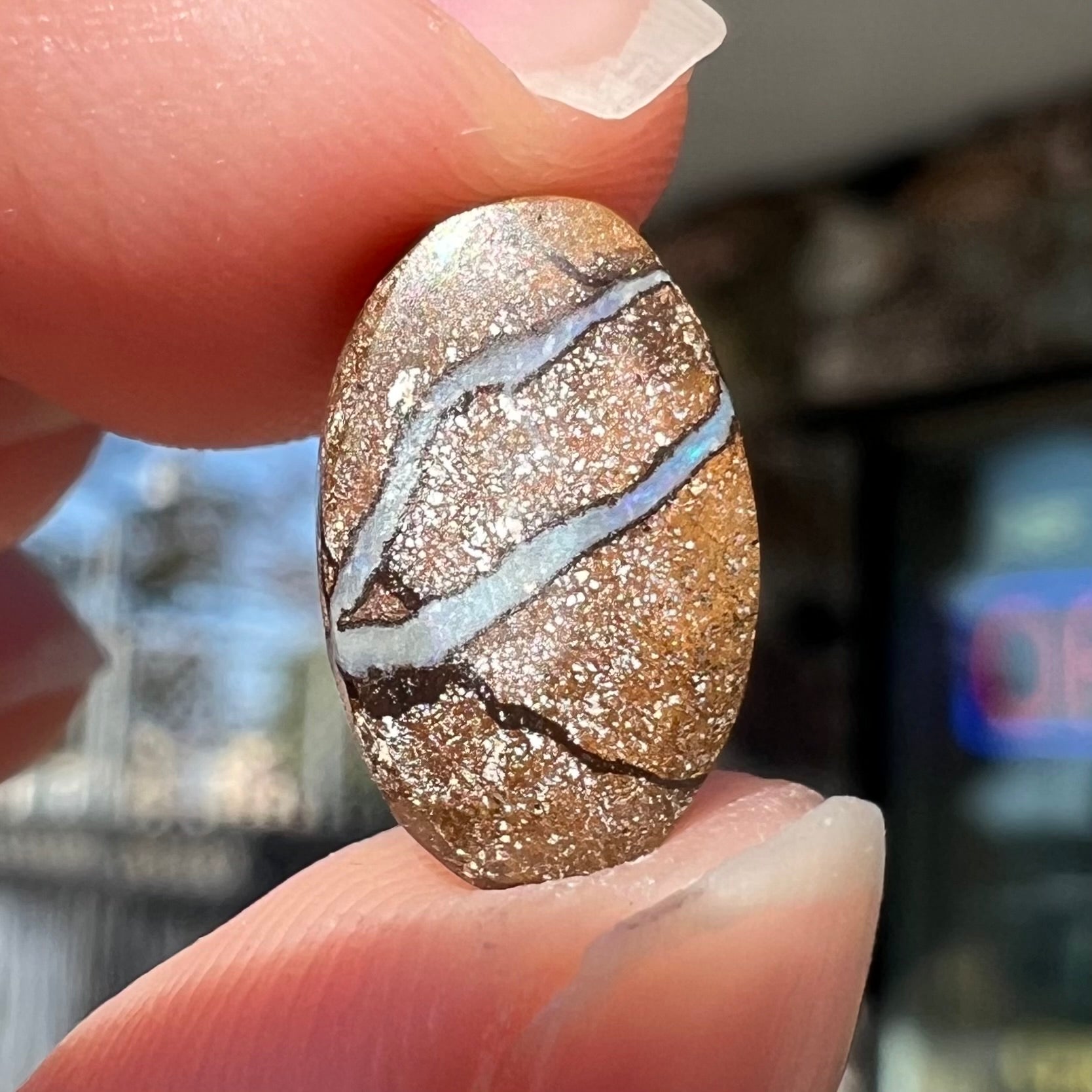 An oval cabochon cut boulder opal from Quilpie, Australia.  The opal has multicolor color play.