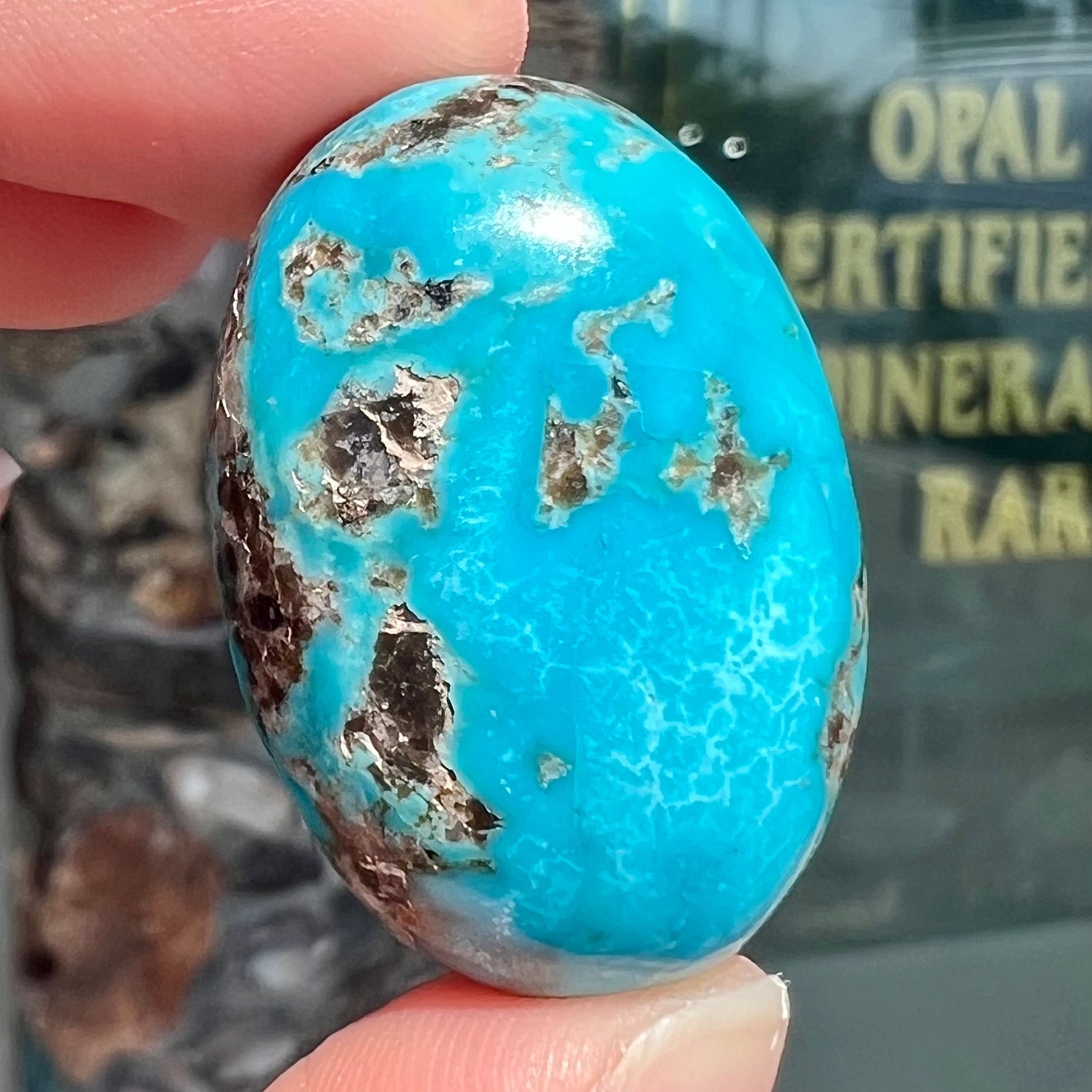 Natural Turquoise Cabochon Fancy Turquoise Cabochon store Beautiful Carved Turquoise Gems Turquoise Leaf Carved Turquoise Oval Arizona Torquise