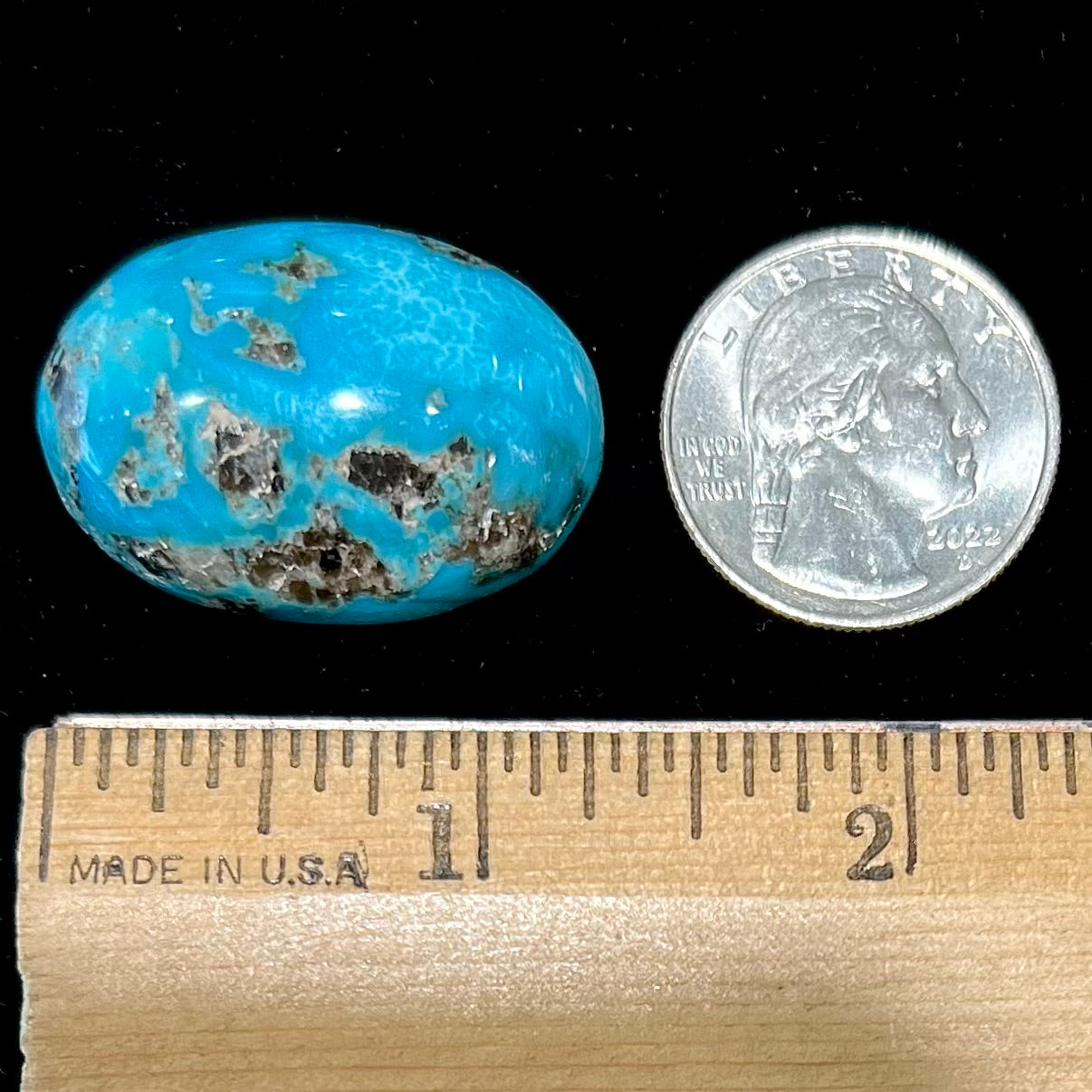 Kingman Turquoise and outlets Spiny Oyster / 27x38mm oval/ Cabochon/Arizona turquoise/unbacked