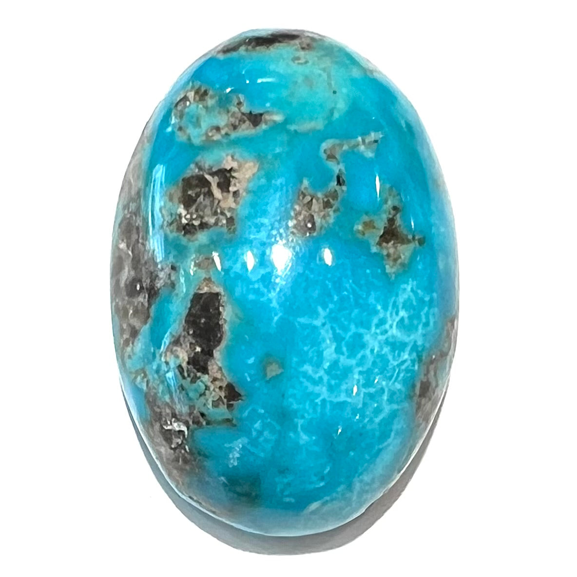 Kingman Turquoise and outlets Spiny Oyster / 27x38mm oval/ Cabochon/Arizona turquoise/unbacked