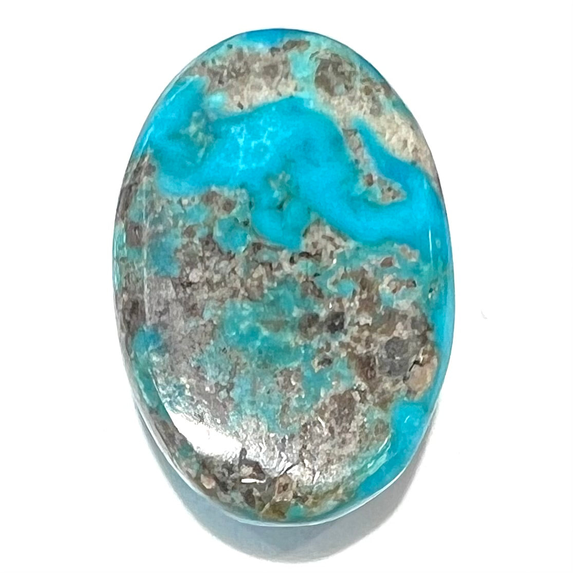 Kingman Turquoise and Spiny Oyster / 27x38mm oval/ Cabochon/Arizona on sale turquoise/unbacked