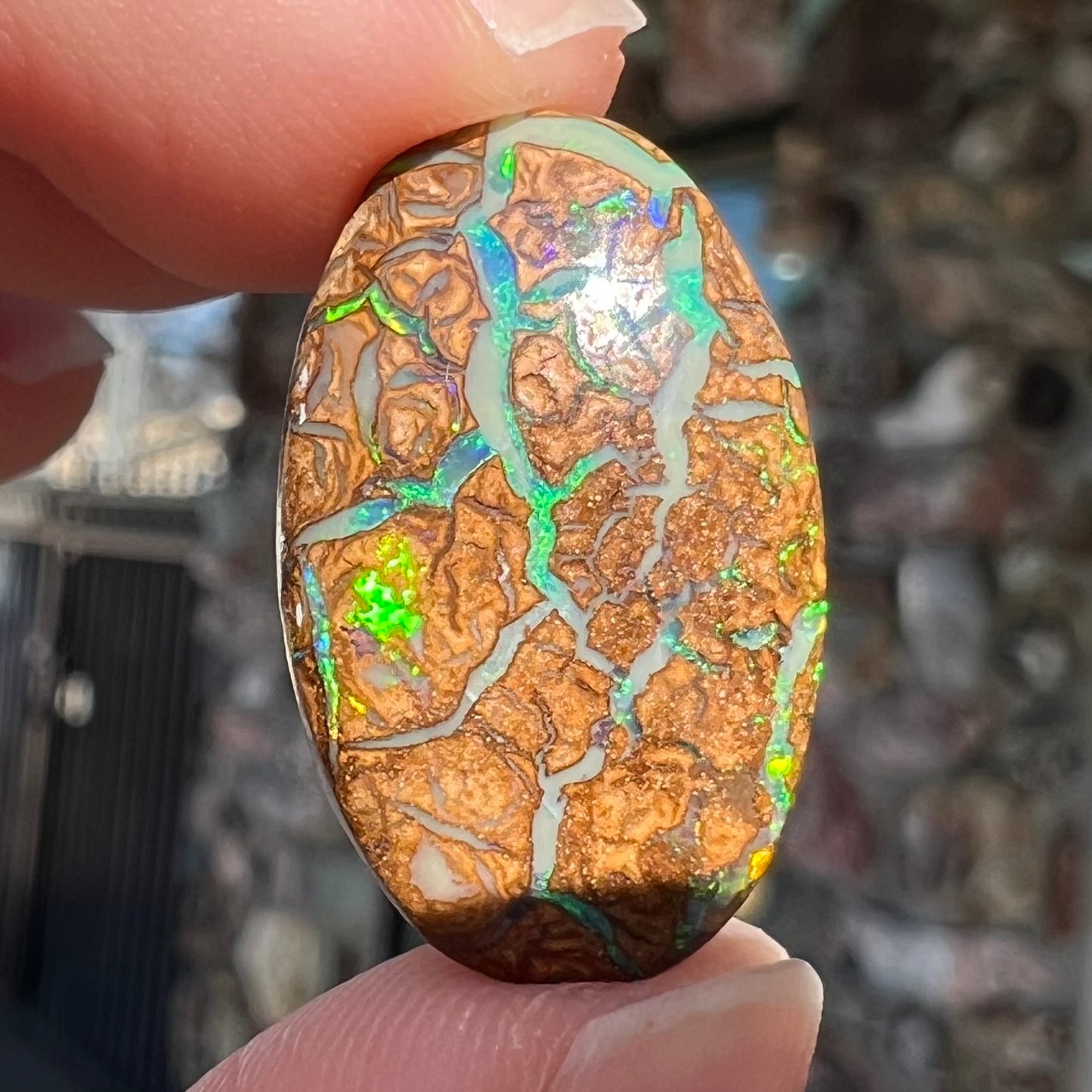 11.82ct Koroit Boulder Matrix Opal | #E184