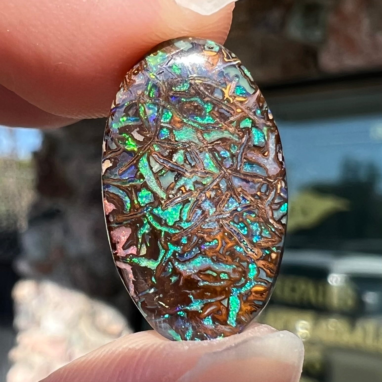 A loose, oval cabochon cut Koroit boulder opal stone.  The opal has green and blue veins.