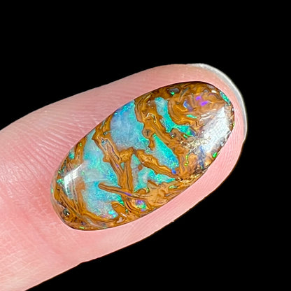 An oval cabochon cut boulder opal stone from Koroit, Australia.  The opal has a blue color.