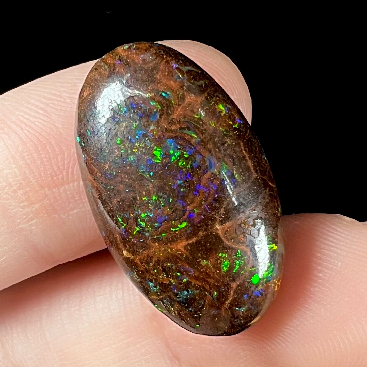 An oval cabochon cut boulder opal stone with green, blue, purple, and red play of color.