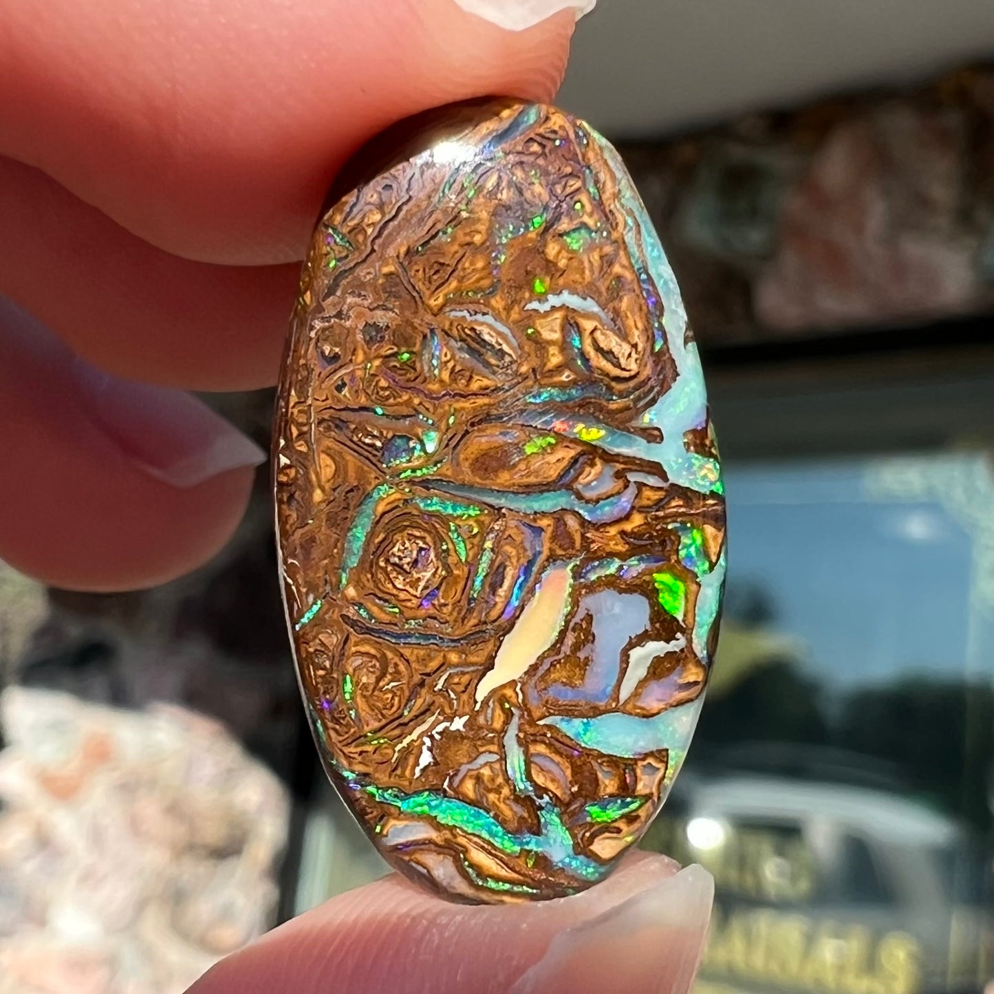 A loose, oval shaped Koroit boulder matrix opal.  The stone has patterns that resembles a rose.