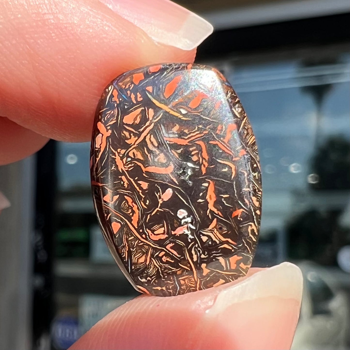 A barrel shaped boulder matrix opal from Koroit, Australia.  The opal has blue fire.