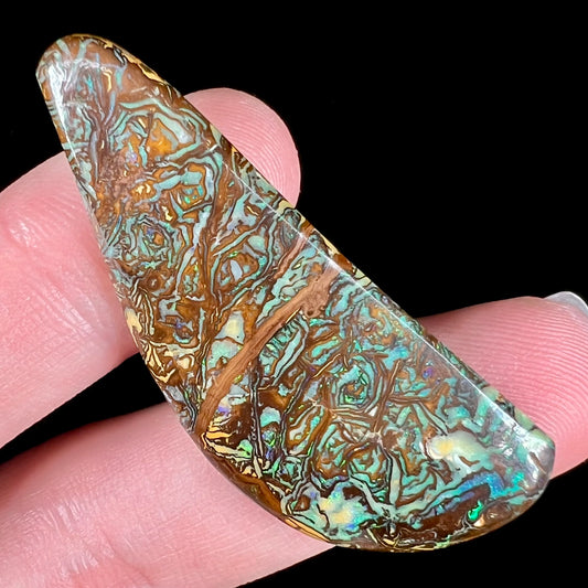 A loose, freeform boulder opal from Koroit, Australia.  The opal has patterns.