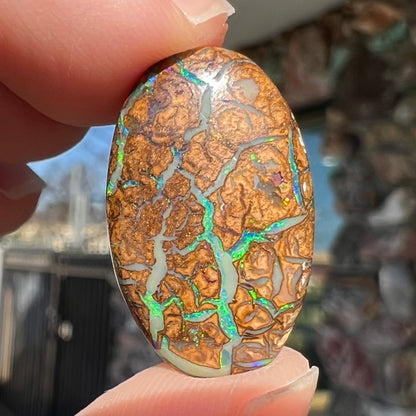 11.82ct Koroit Boulder Matrix Opal | #E184