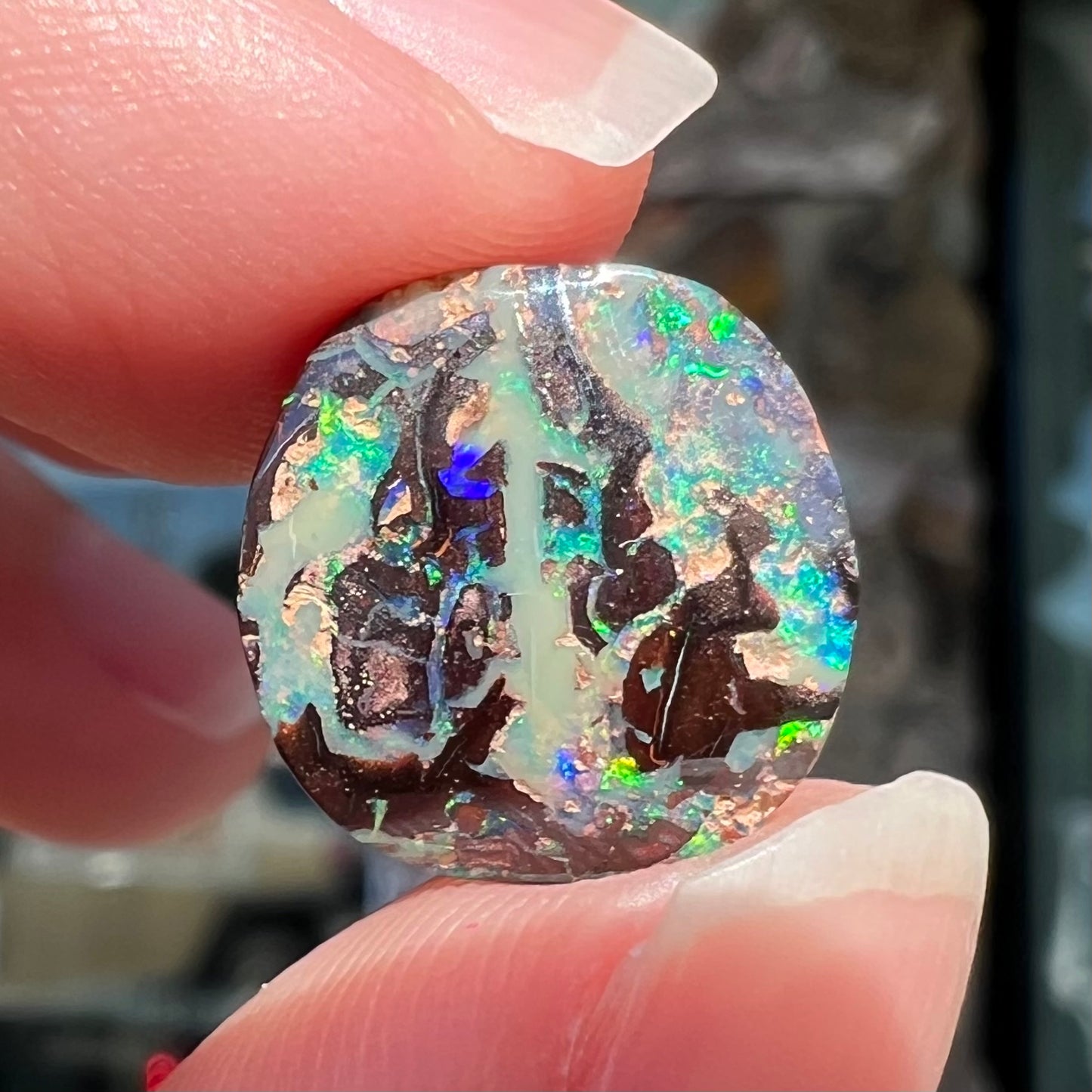 An off-round cabochon cut boulder opal stone from Koroit, Australia.  The opal has green, blue, and red colors.