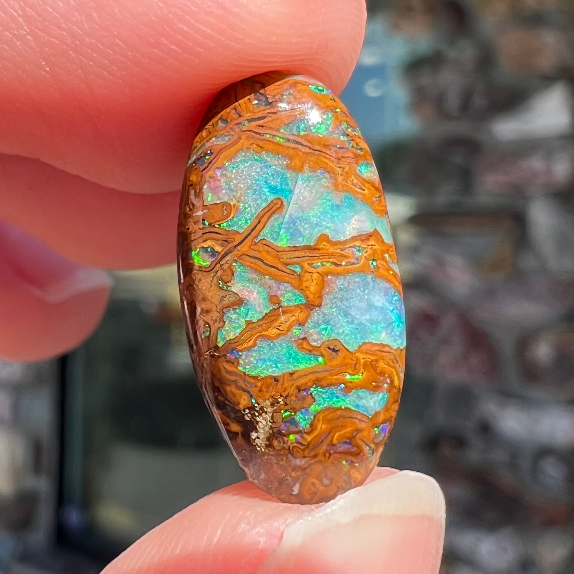 An oval cabochon cut boulder opal stone from Koroit, Australia.  The opal has a blue color.