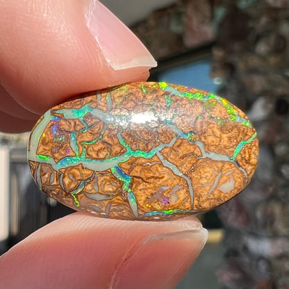 11.82ct Koroit Boulder Matrix Opal | #E184