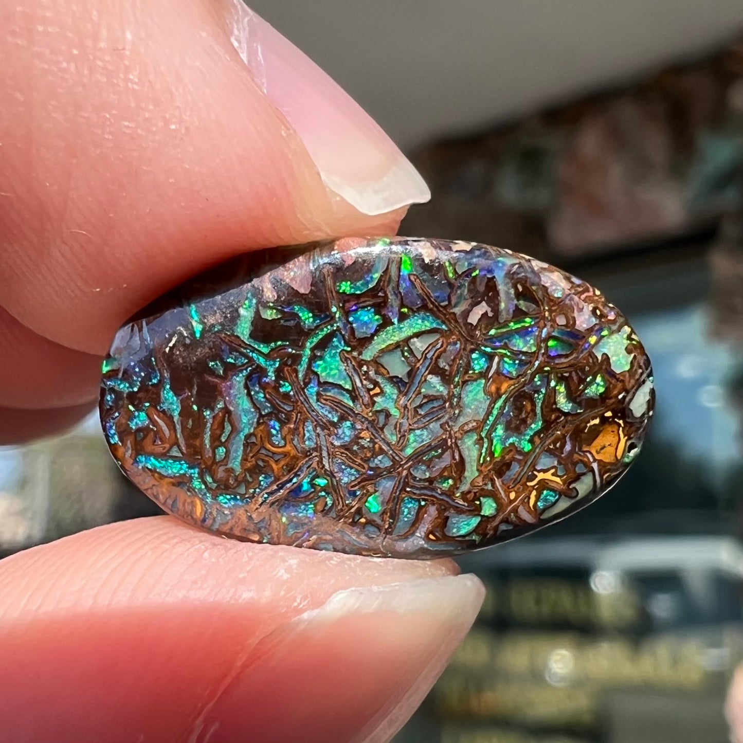 A loose, oval cabochon cut Koroit boulder opal stone.  The opal has green and blue veins.